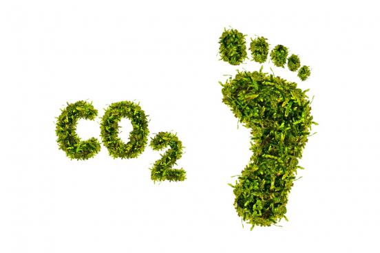 co2 footprint: we have been offsetting CO2 emissions from our vehicles for years now