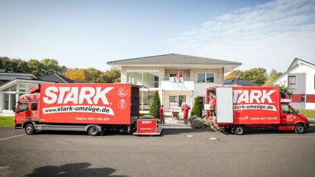 Stark Umzüge Mainz