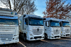 Zitzelsberger, Regensburg