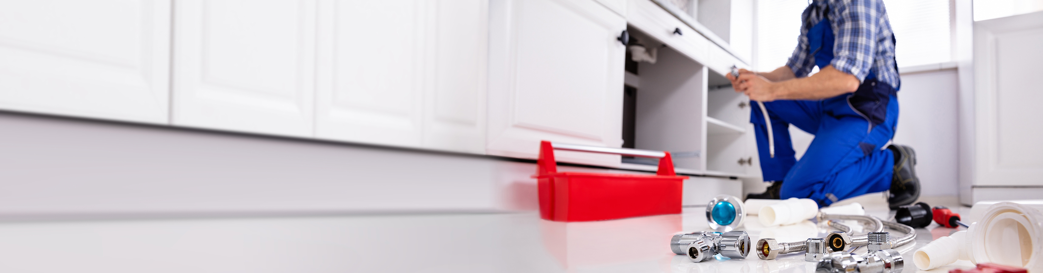 Services & Assistences